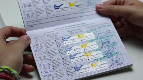 todas_las_vacunas_para_perros_deben_ser_aplicadas_anualmente_23978_2_600